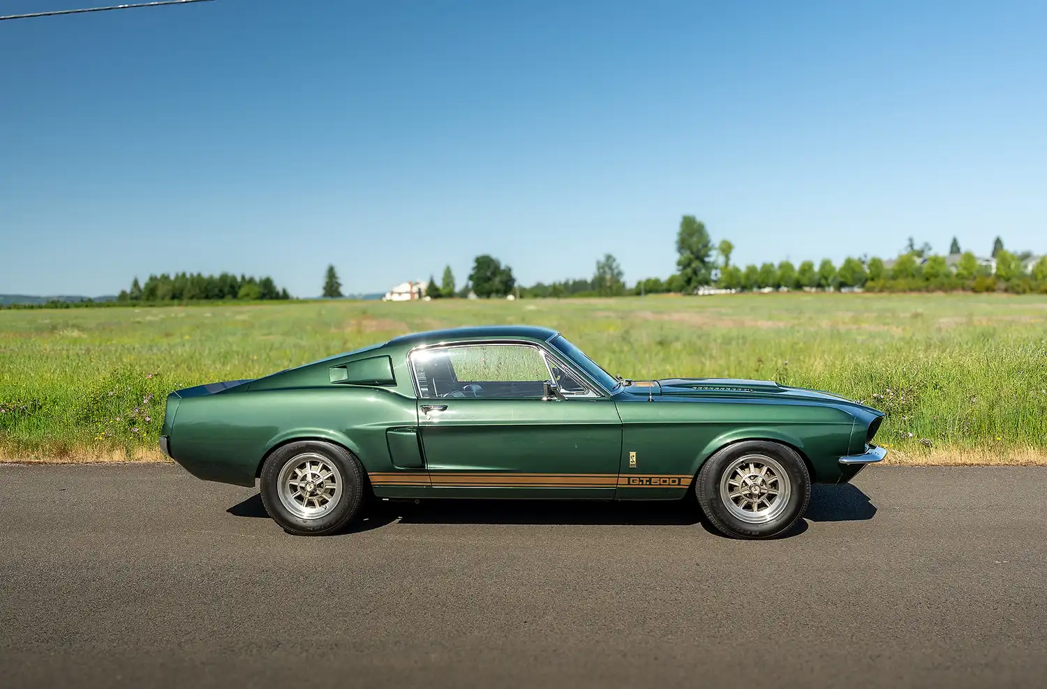 1967 Shelby Mustang GT500 Fastback