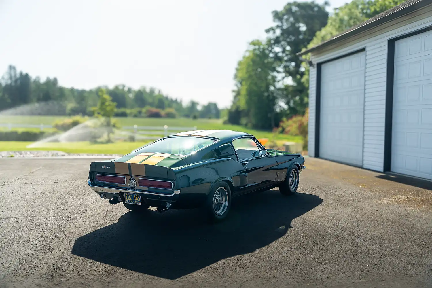 1967 Shelby Mustang GT500 Fastback