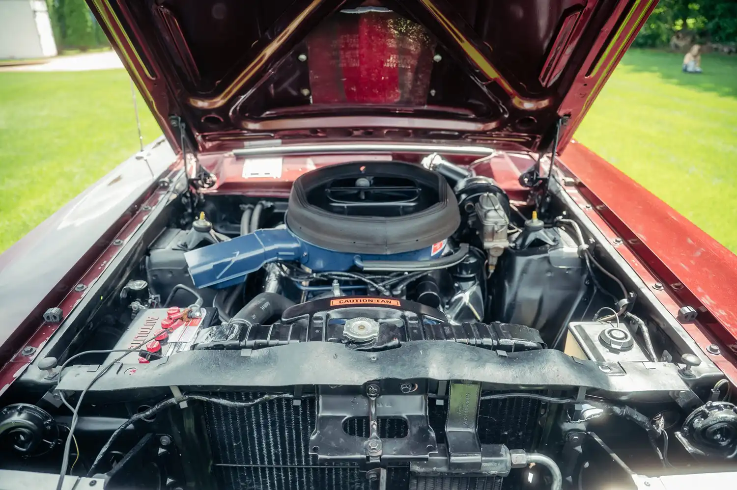1969 Ford Cobra SportsRoof