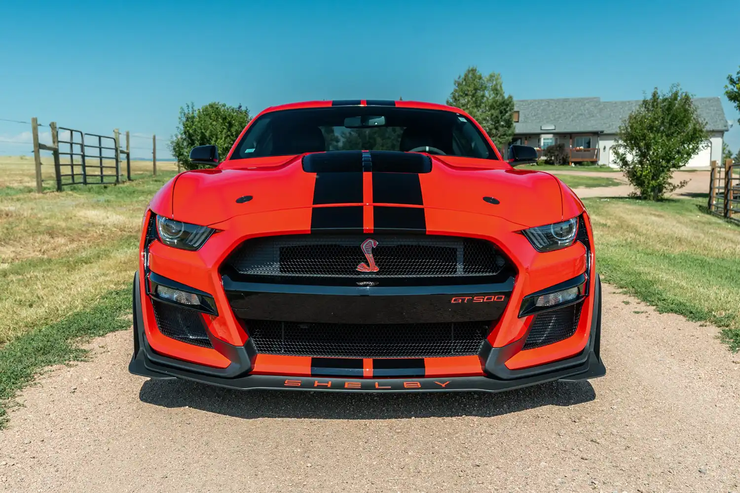 2020 Ford Mustang Shelby GT500