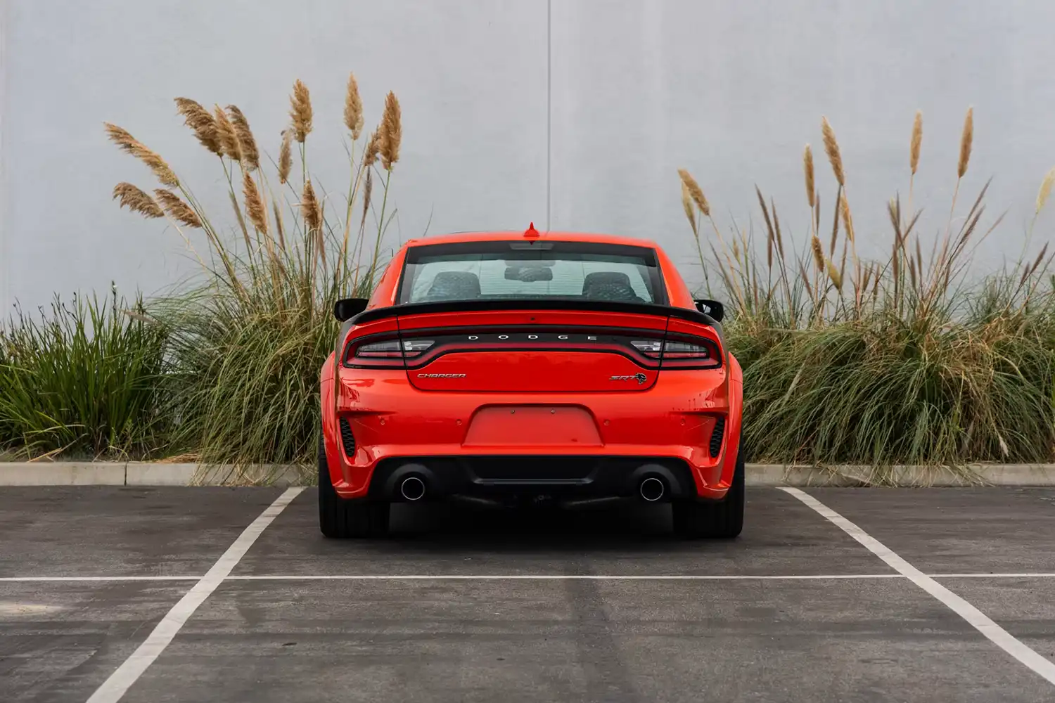 Dodge Charger King Daytona Widebody