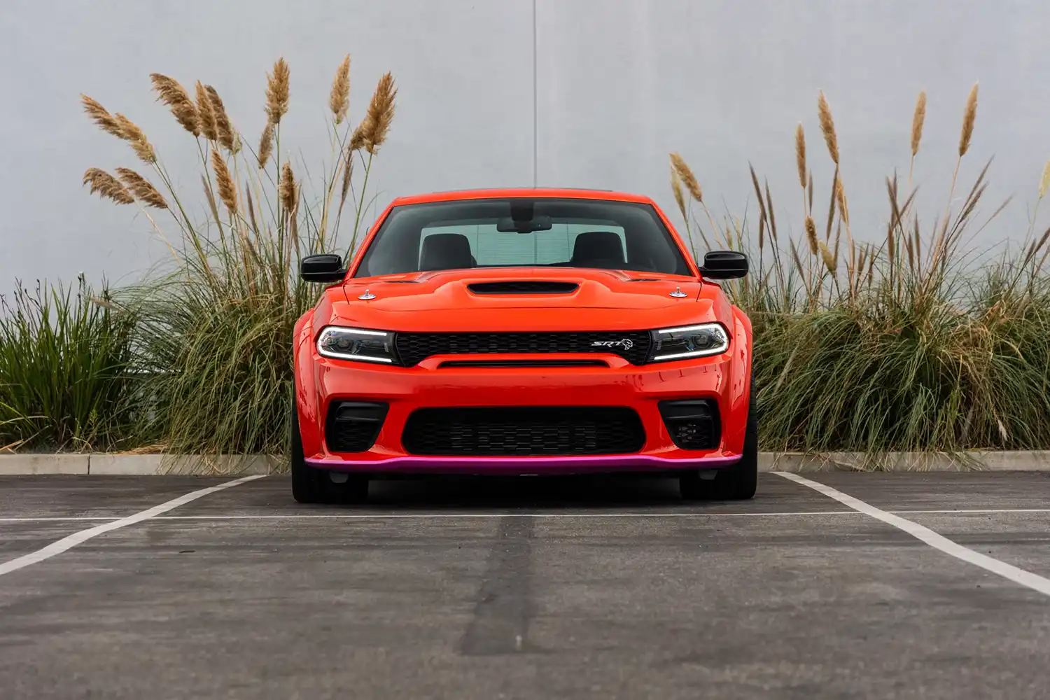 Dodge Charger King Daytona Widebody