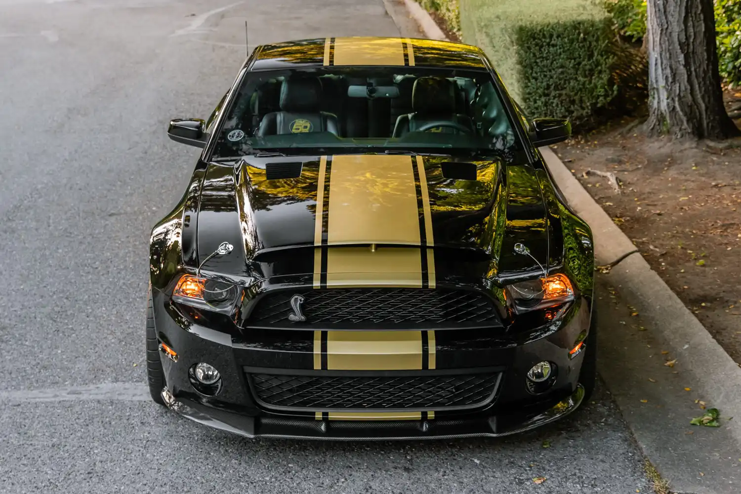 2012 Shelby GT500 Super Snake