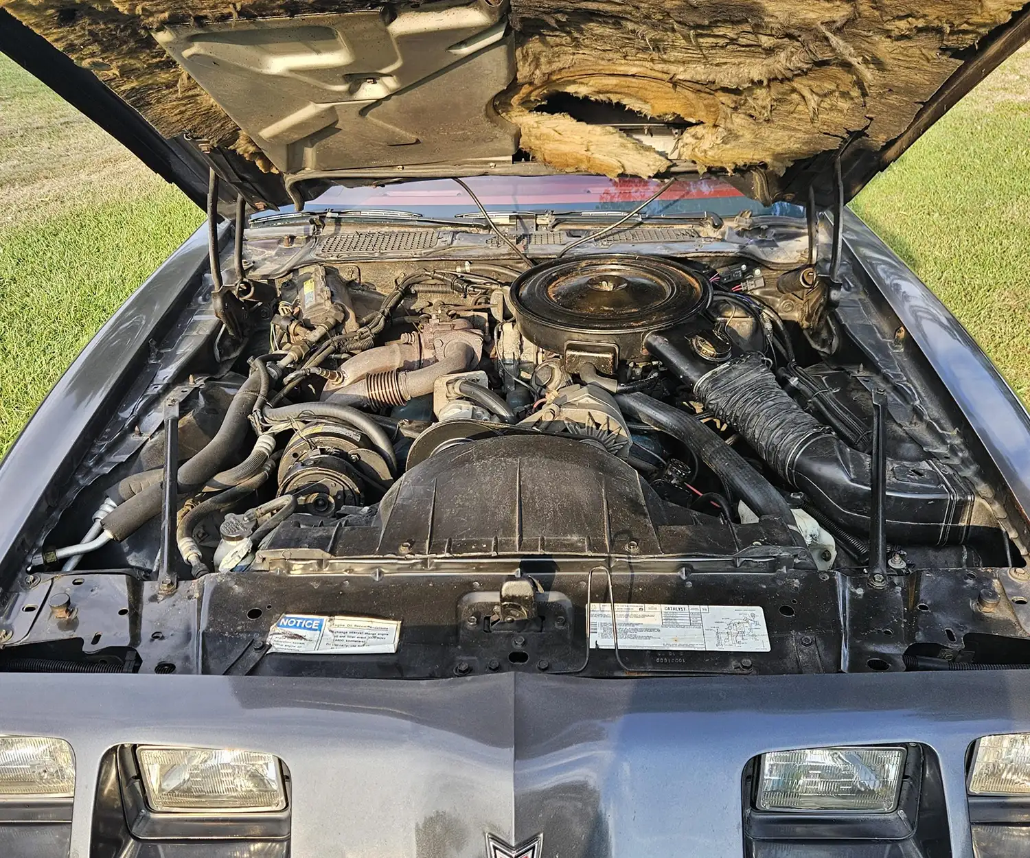 1980 Pontiac Firebird Turbo Trans Am