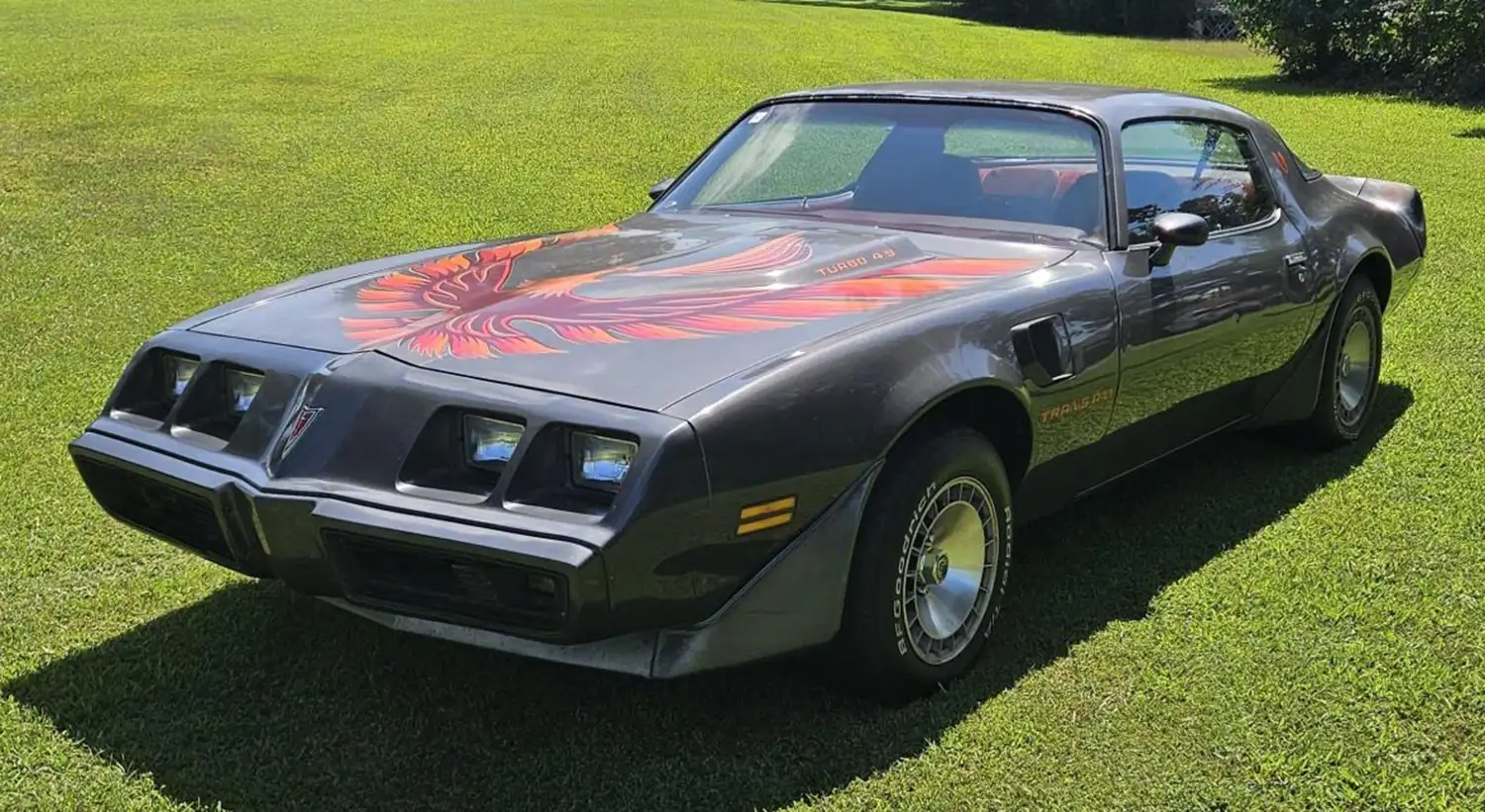1980 Pontiac Firebird Turbo Trans Am