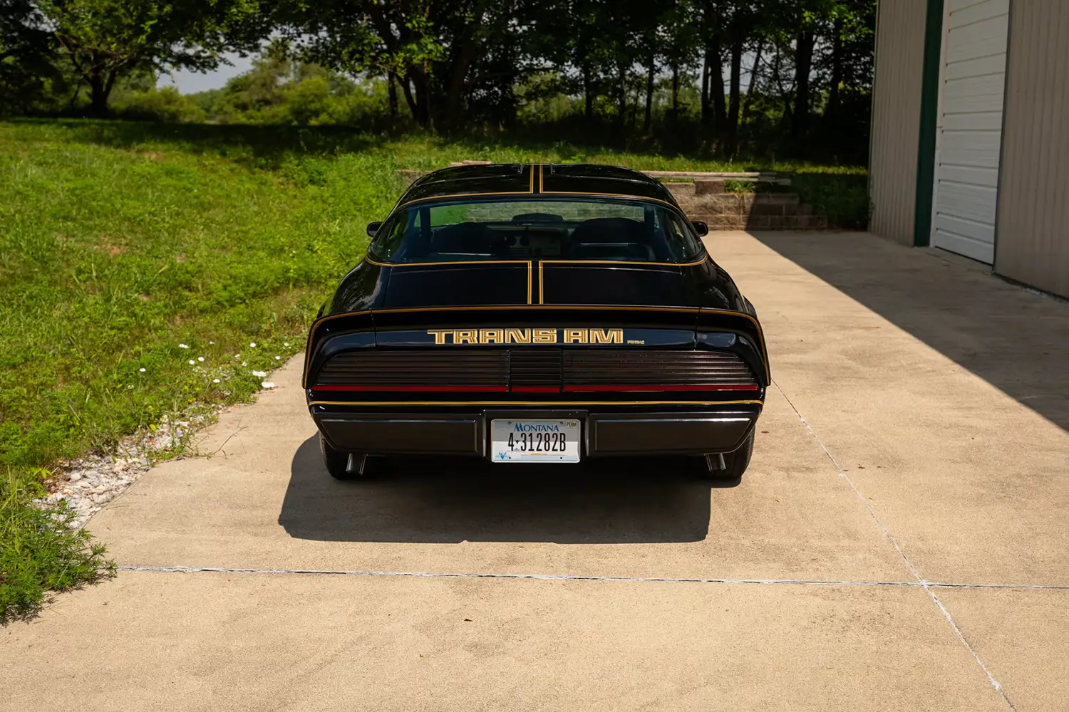 1979 Pontiac Trans Am