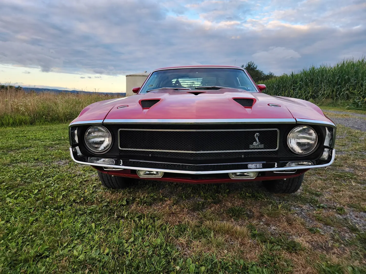 1969 Shelby Mustang GT500 Fastback