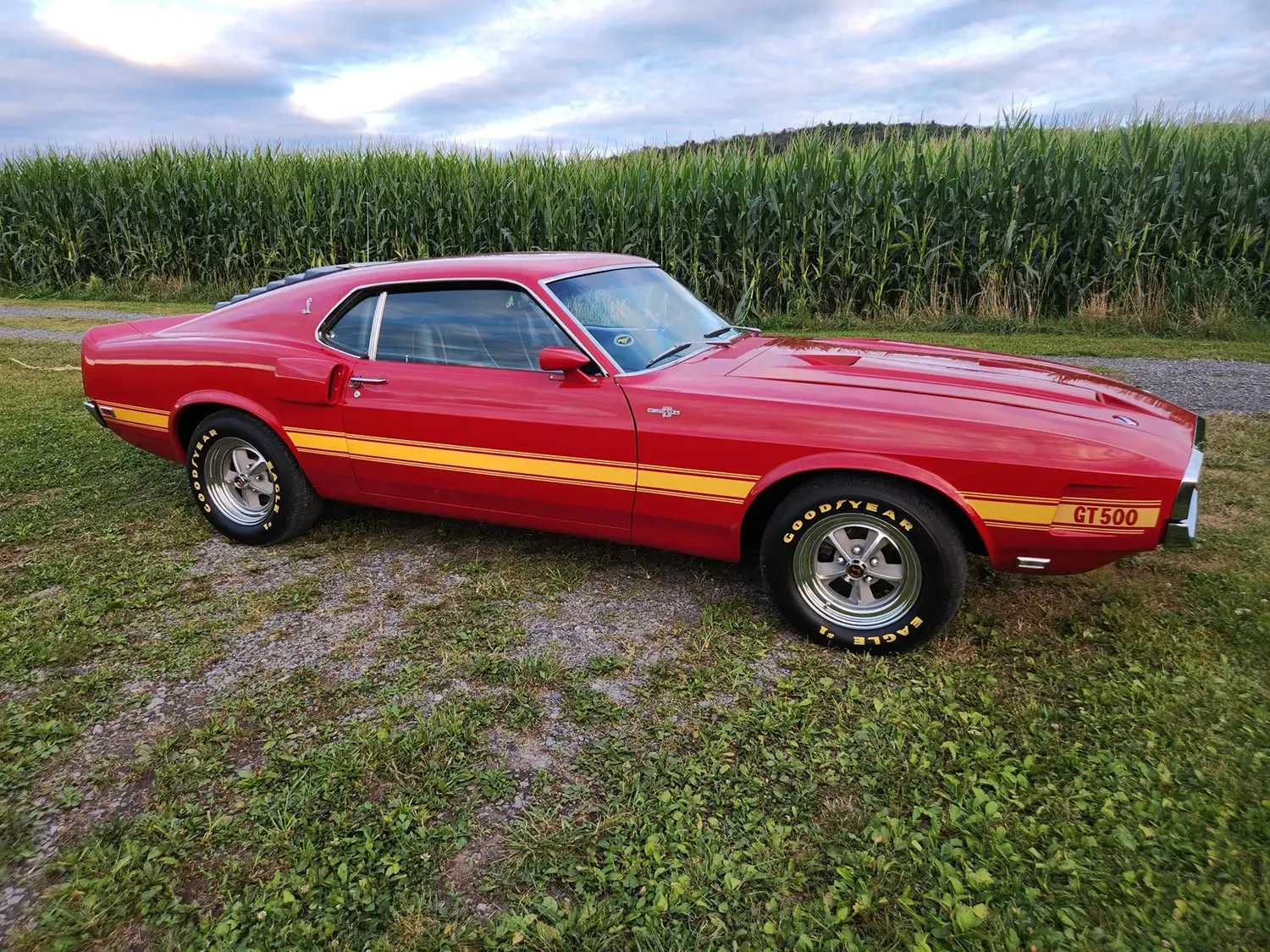 1969 Shelby GT500 Fastback