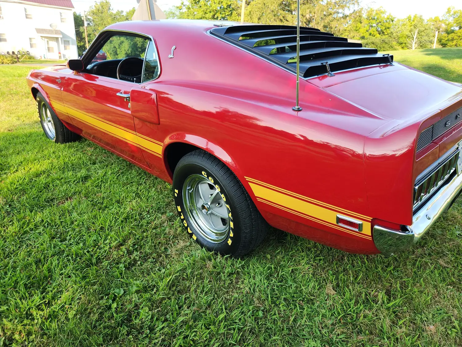 1969 Shelby GT500 Fastback