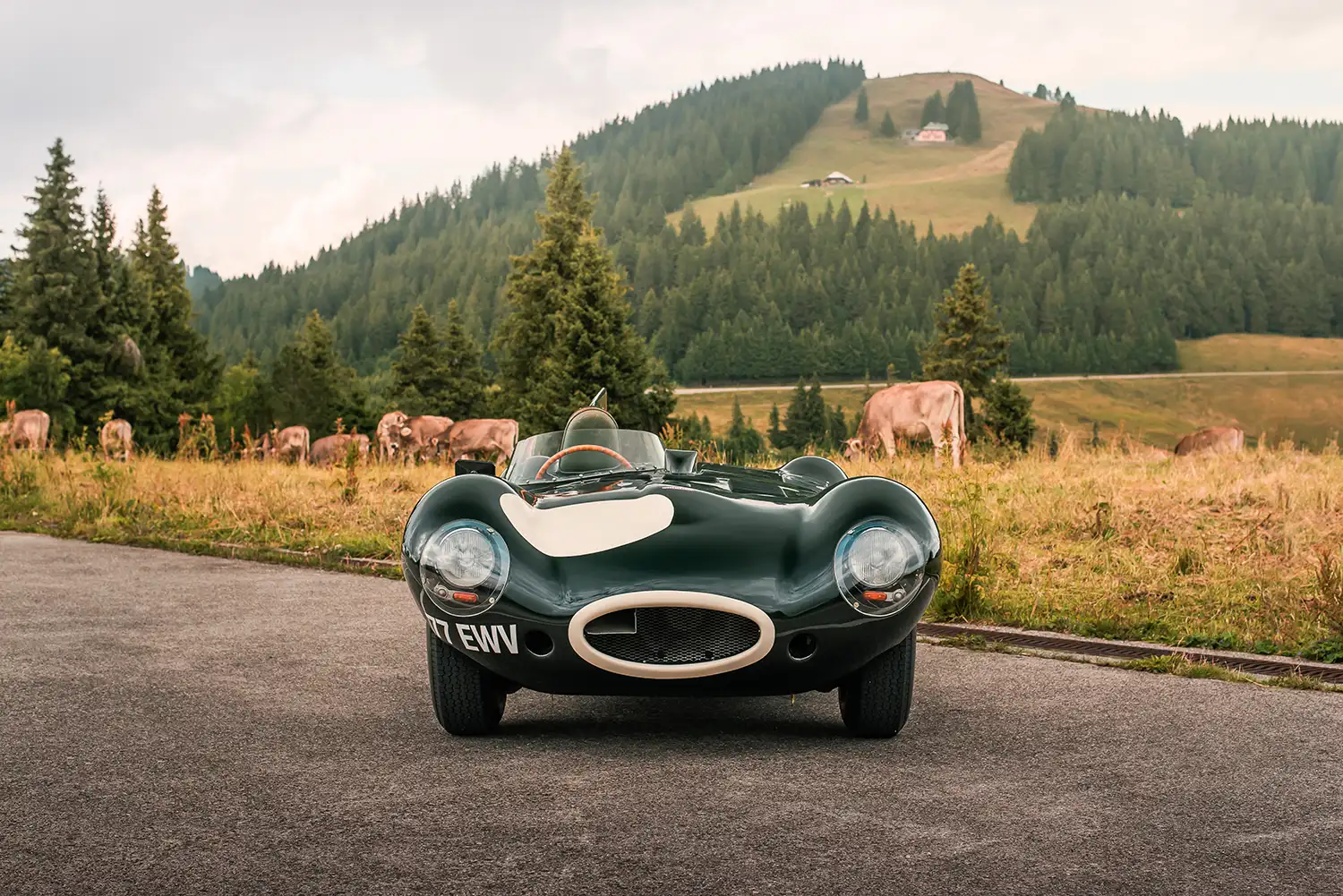 Jaguar D-Type XKD 551