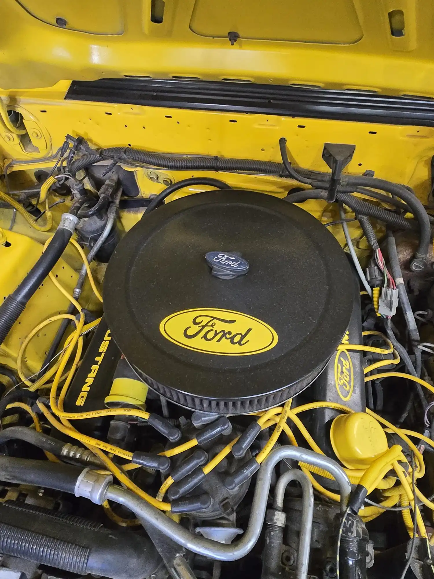 1983 Ford Mustang GT
