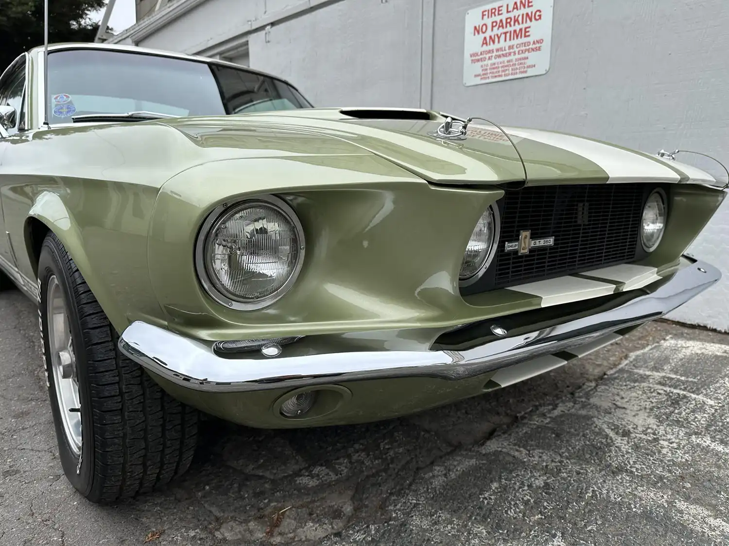 1967 Shelby Mustang GT350
