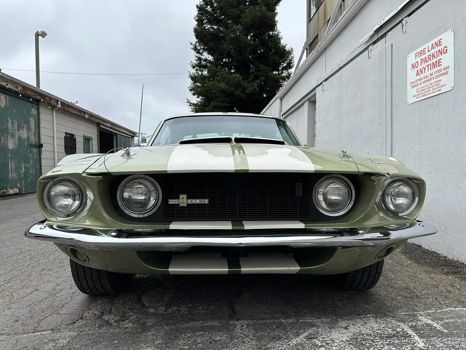 1967 Shelby Mustang GT350