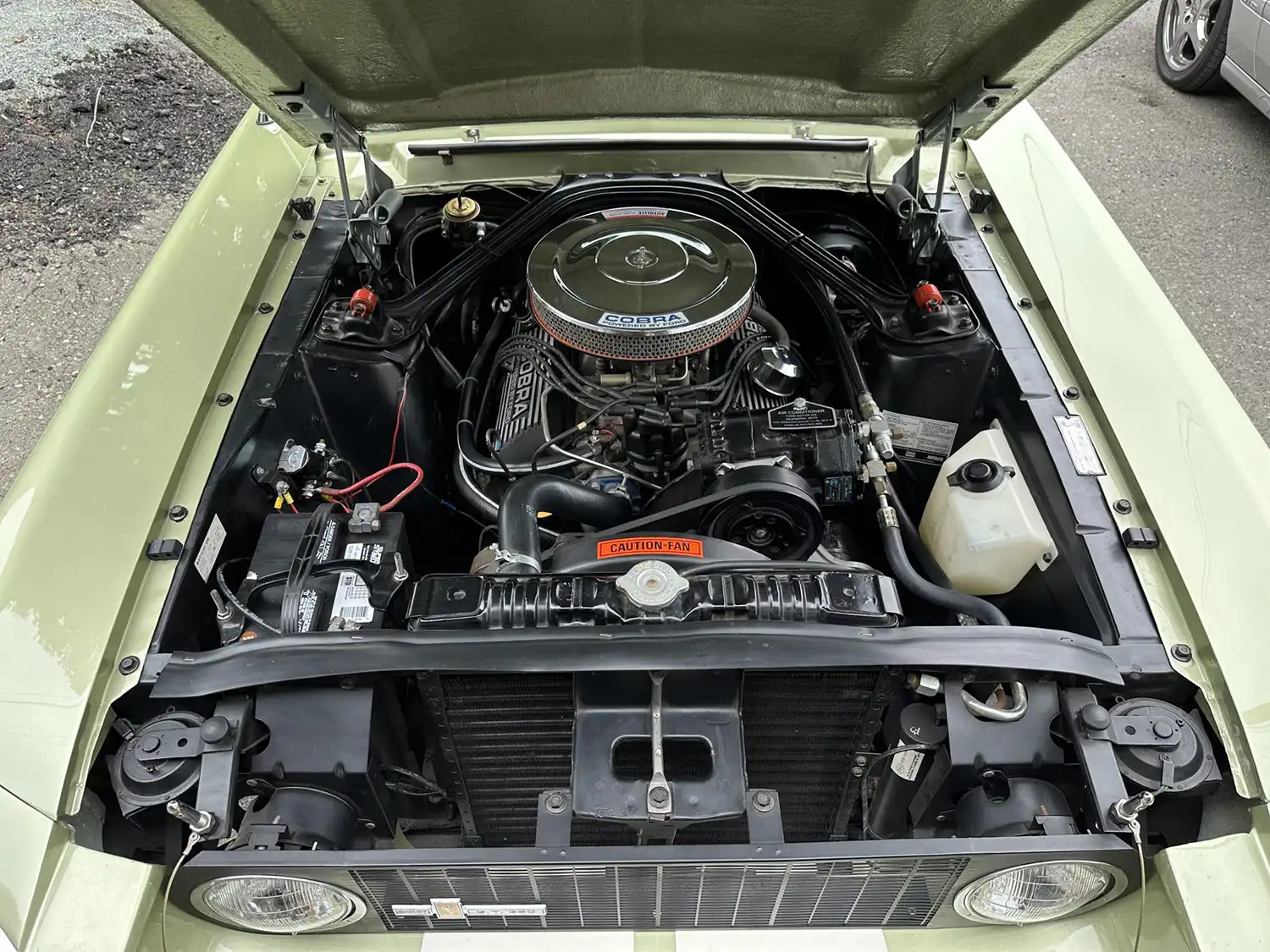 1967 Shelby Mustang GT350