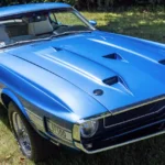 1969_ford_shelby-gt500_1969_ford_shelby-gt500_efe45190-7200-4152-bf79-76b9ecd8a606-FVP1i2-66508-66509-scaled