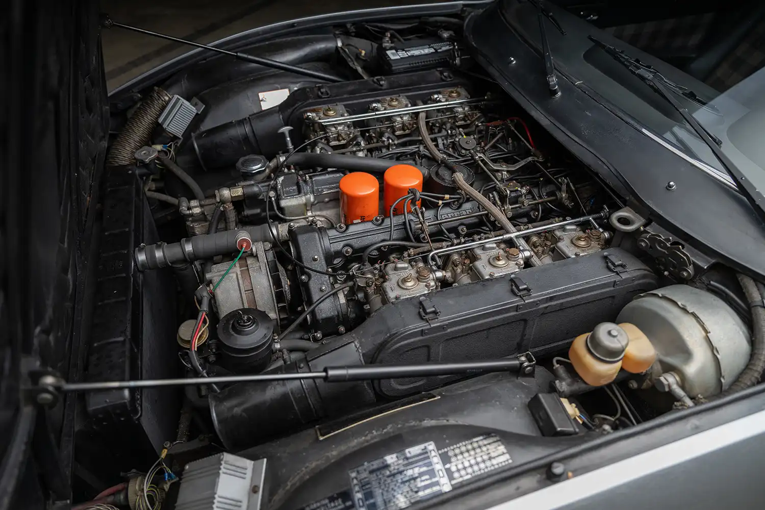 1973 Ferrari 365 GTC/4