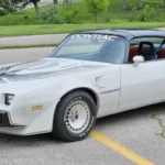 1981_pontiac_firebird-trans-am_20250718_122820-98512-scaled