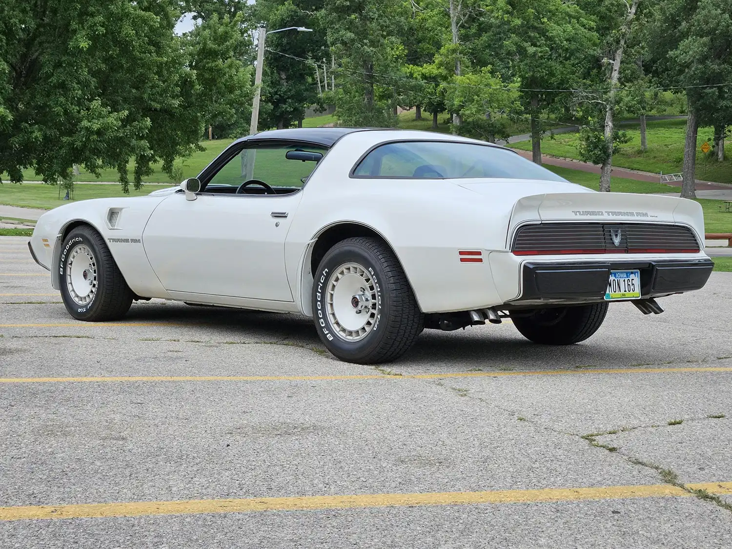 1981 Pontiac Firebird Trans Am Turbo
