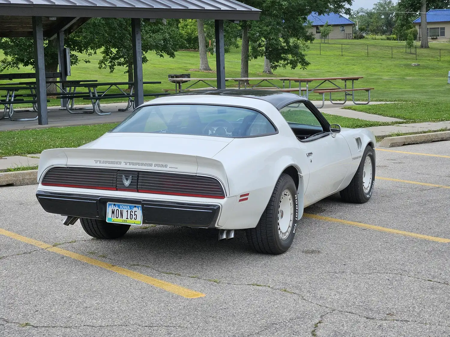 1981 Pontiac Firebird Trans Am Turbo