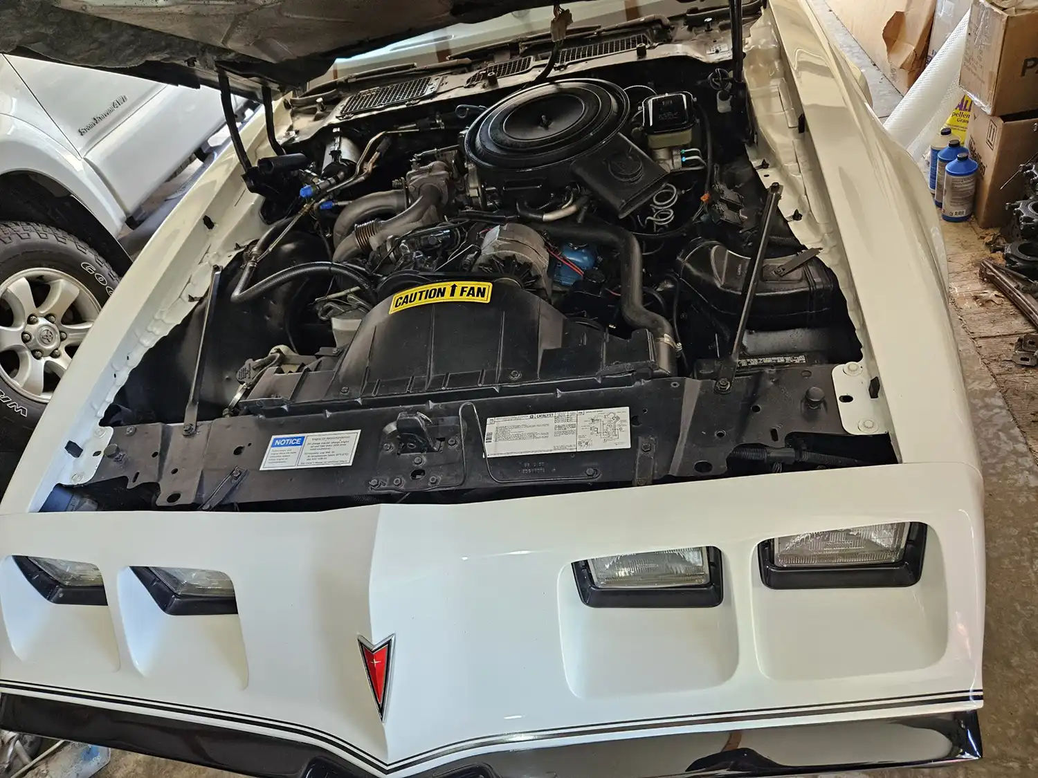 1981 Pontiac Firebird Trans Am Turbo