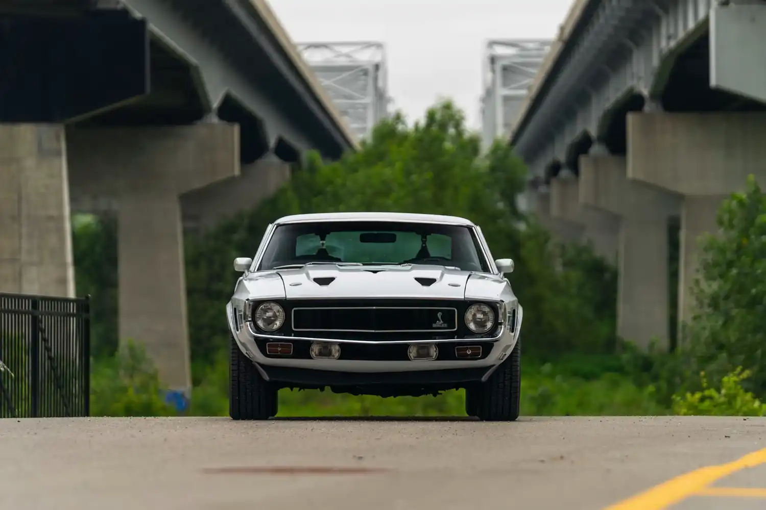 1969 Shelby GT350 Fastback