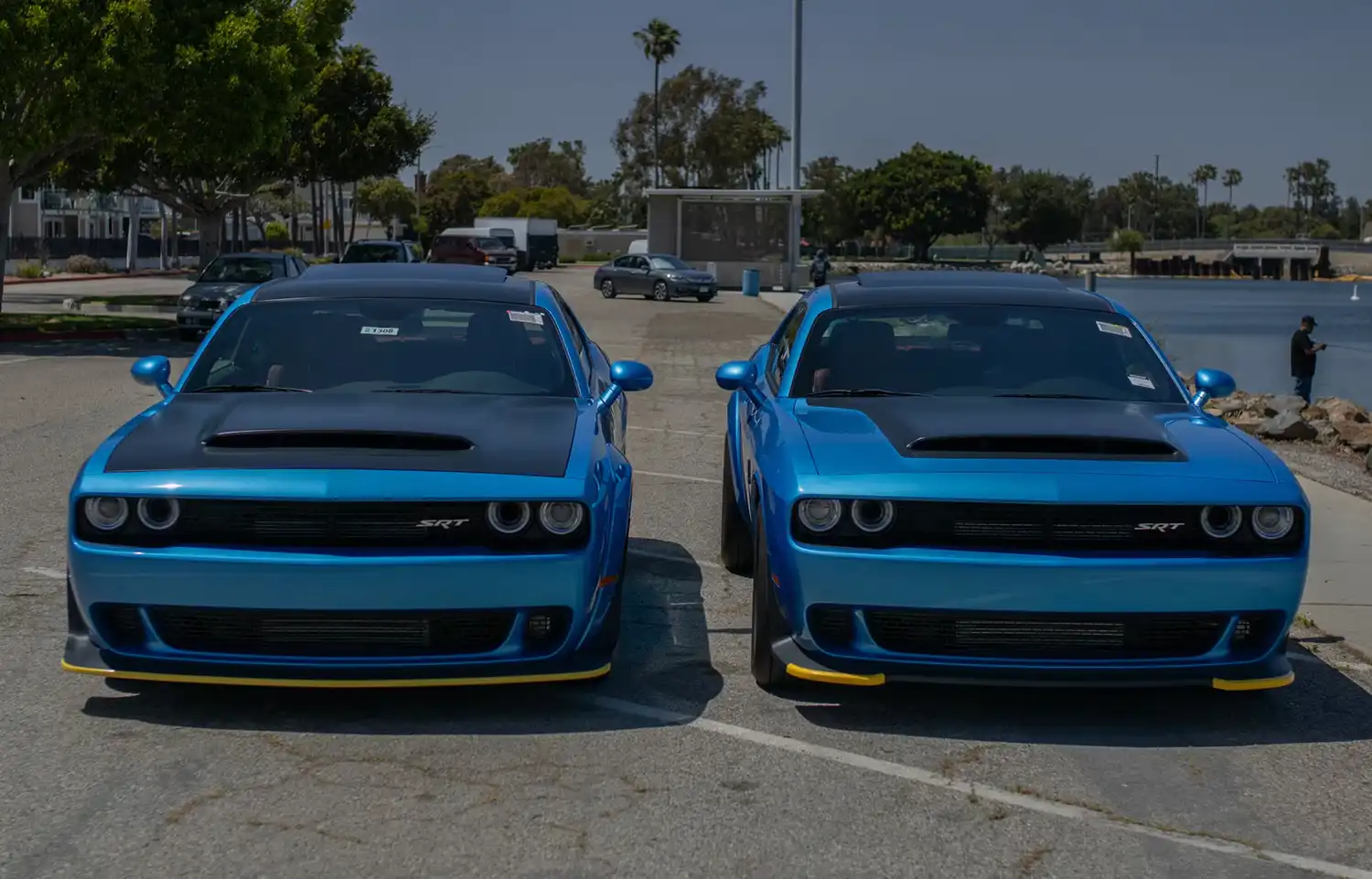 SRT Demon Serial No. 2516 Pair
