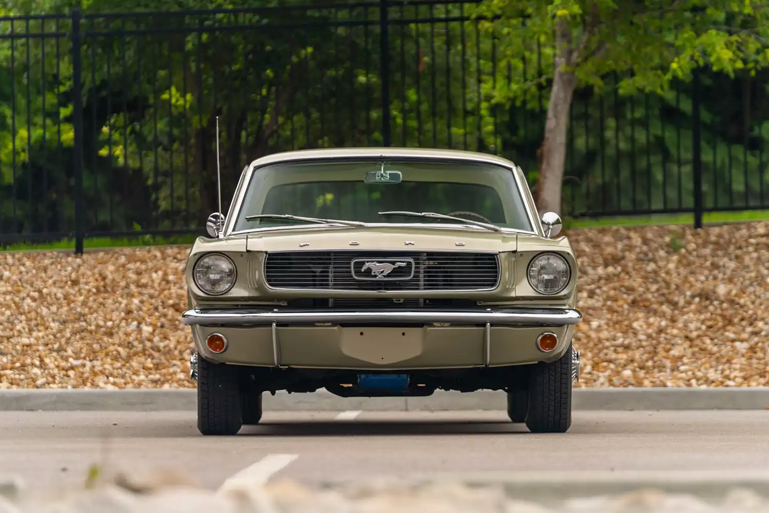 1966 Ford Mustang Coupe