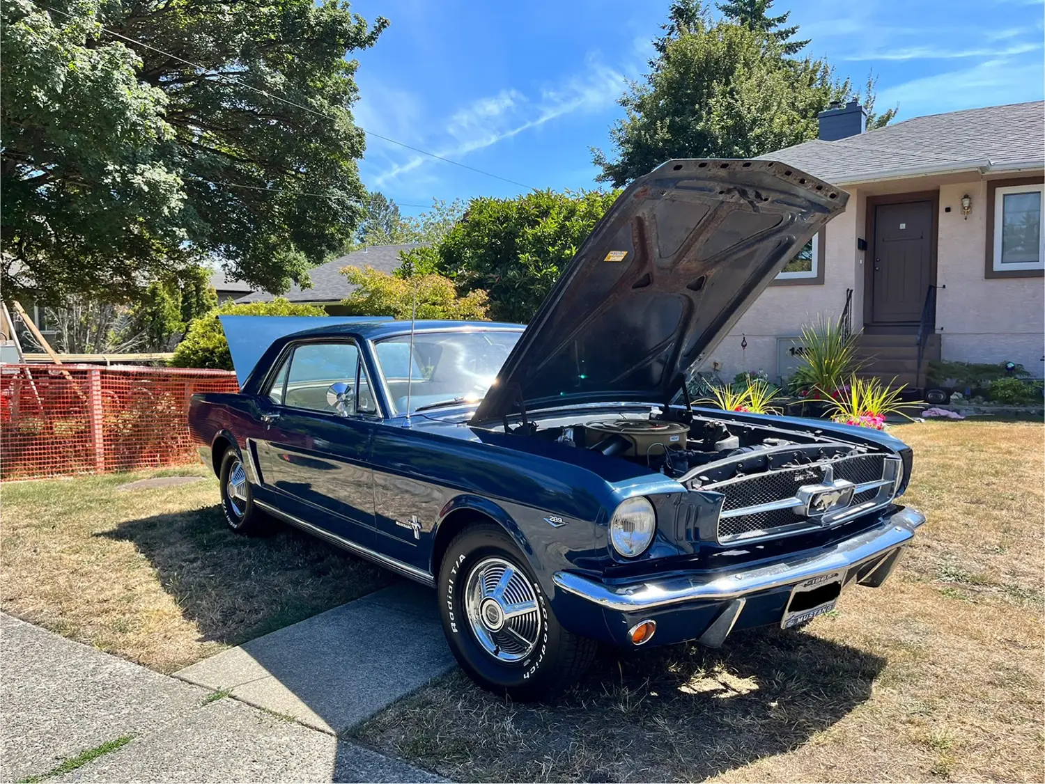 1965 Ford Mustang
