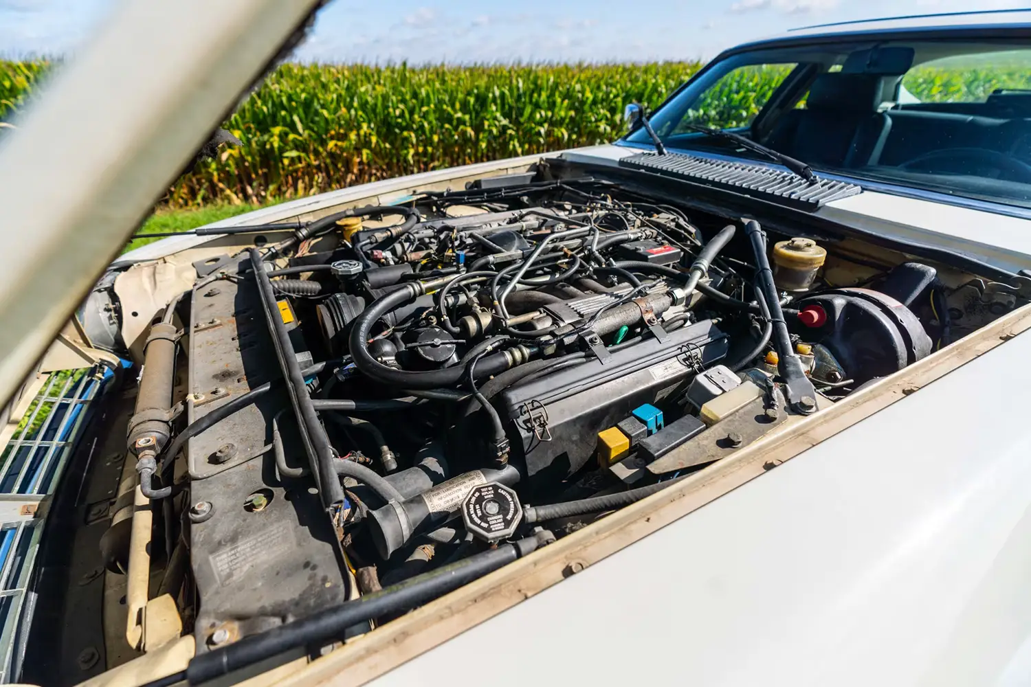 1989 Jaguar XJS