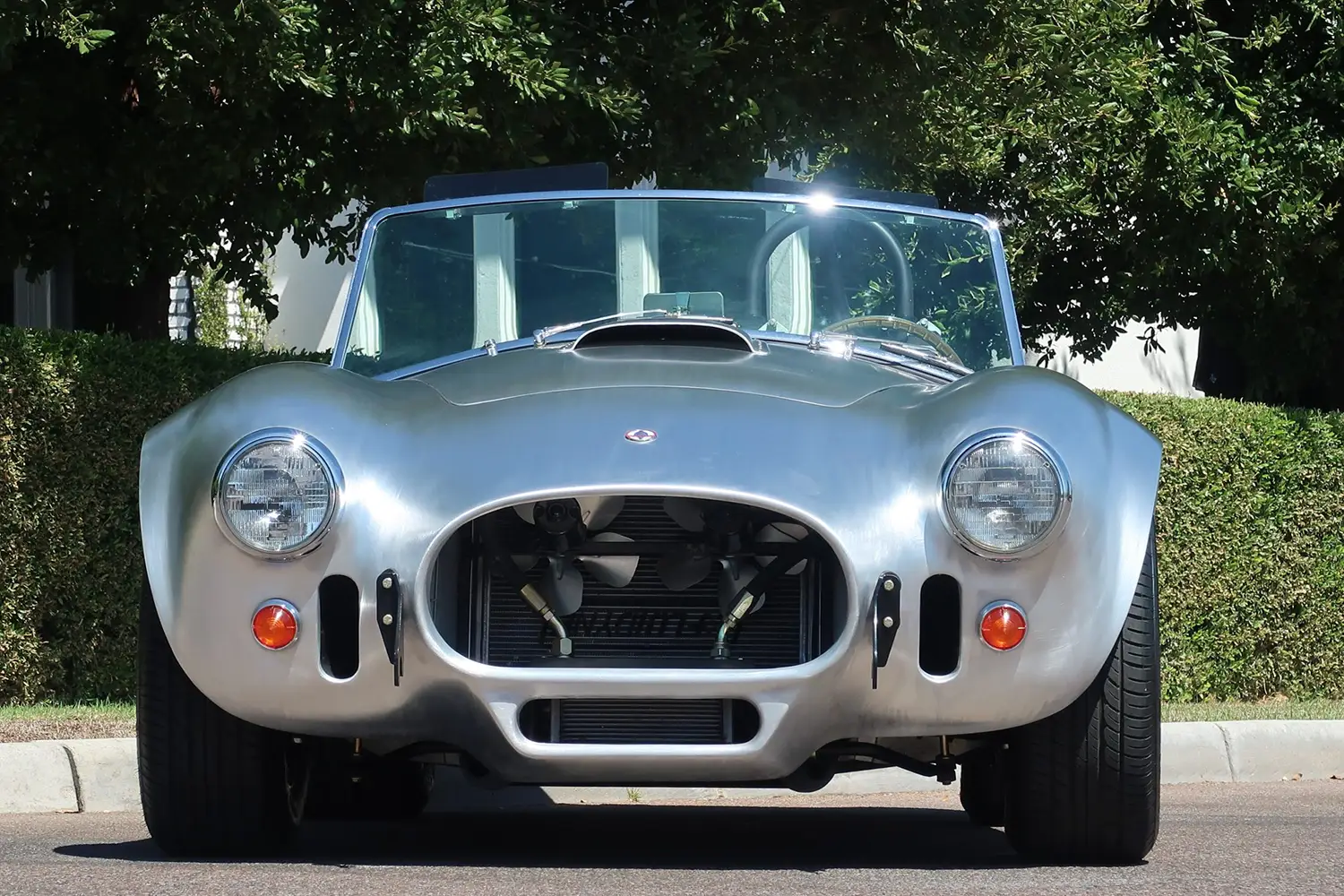 Shelby Cobra CSX4000