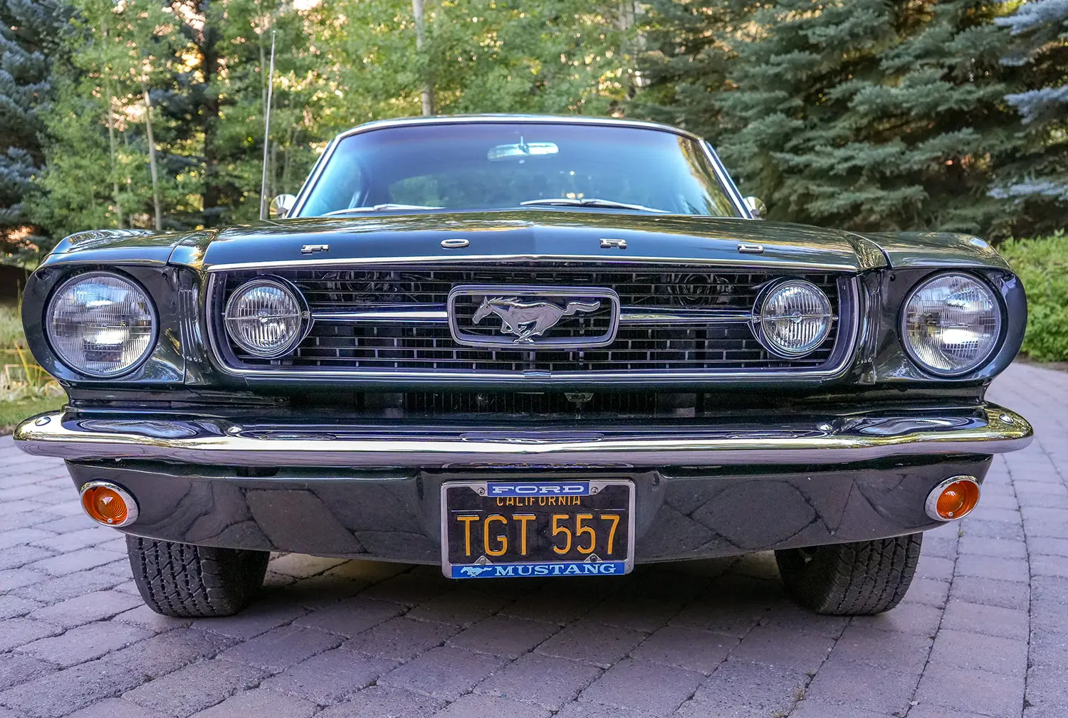1966 Ford Mustang Fastback GT 289
