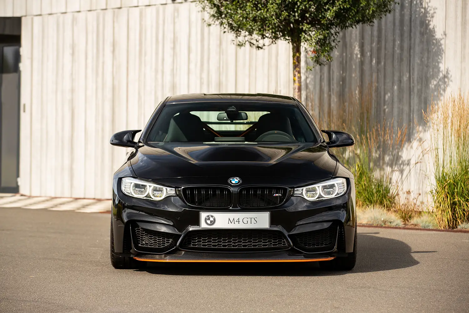 2016 BMW M4 GTS