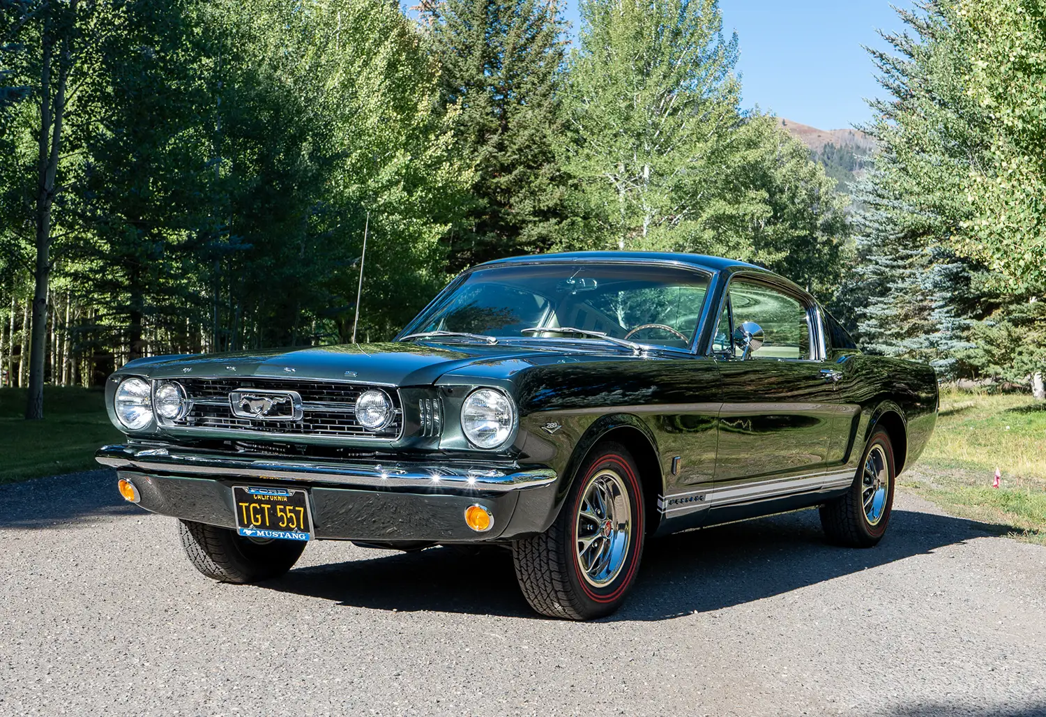 1966 Ford Mustang Fastback GT 289