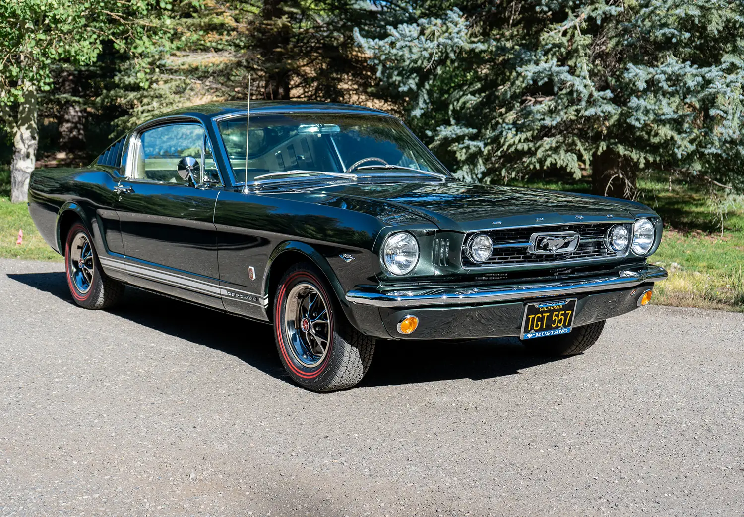 1966 Ford Mustang Fastback GT 289