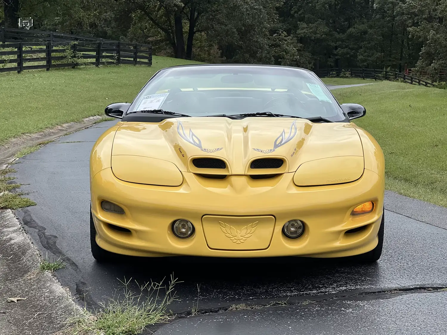 2002 Pontiac Trans Am Collector Edition Convertible