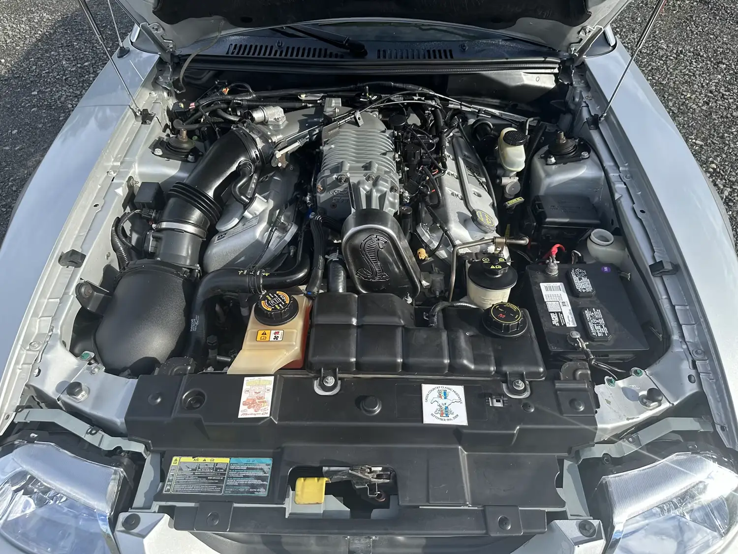 2003 Ford Mustang SVT Cobra Convertible