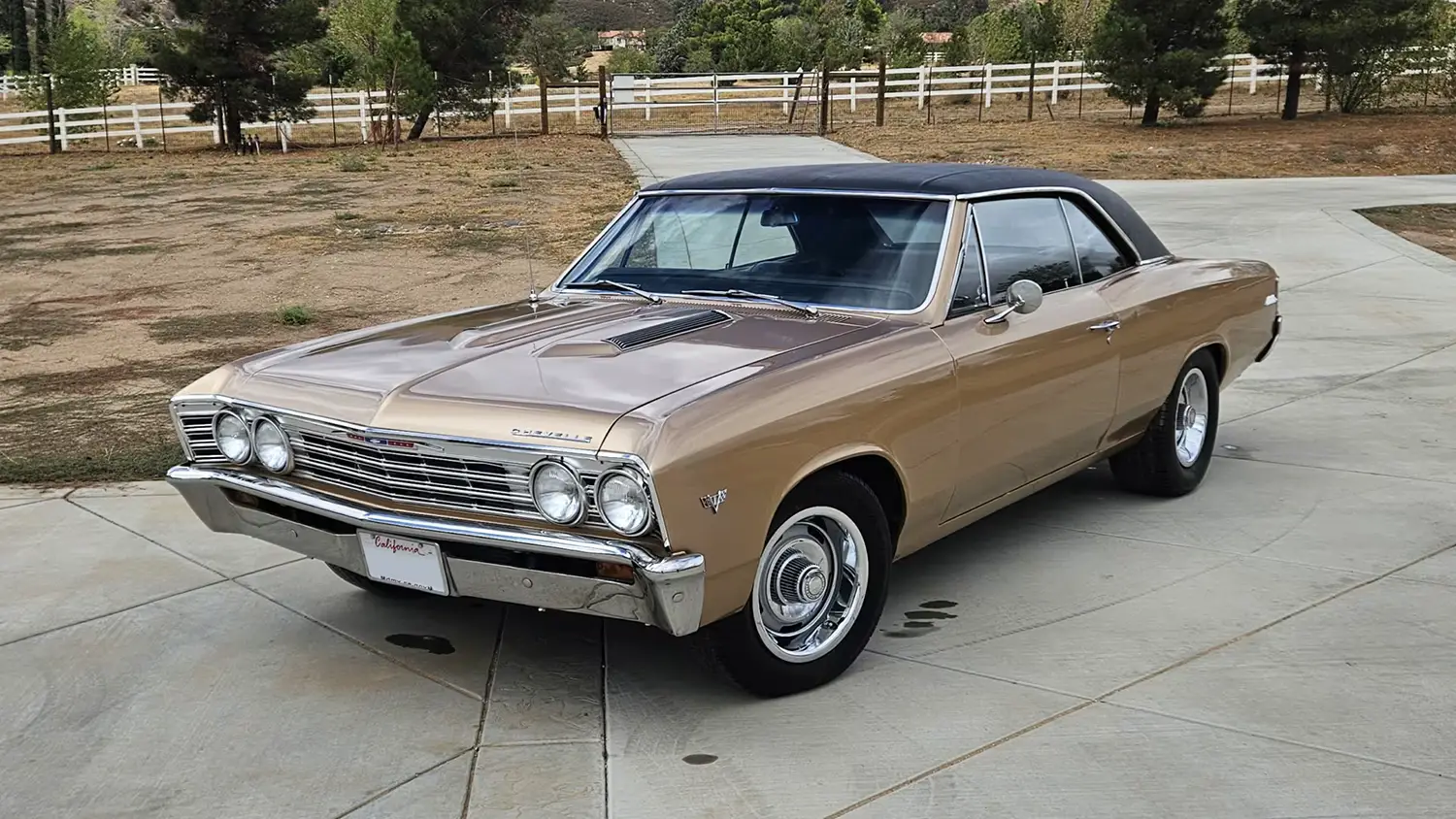 1967 Chevrolet Chevelle