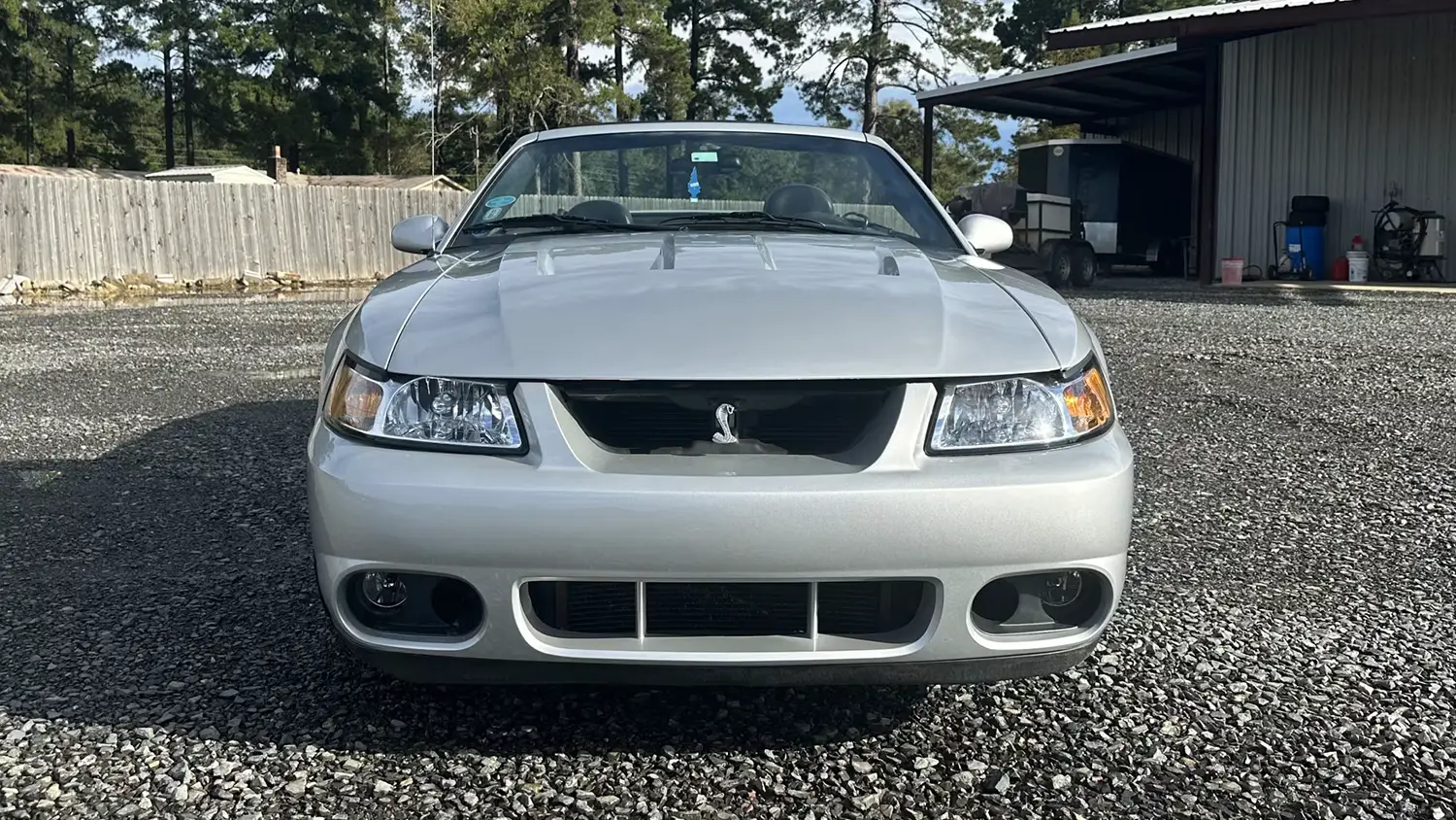 2003 Ford Mustang SVT Cobra Convertible