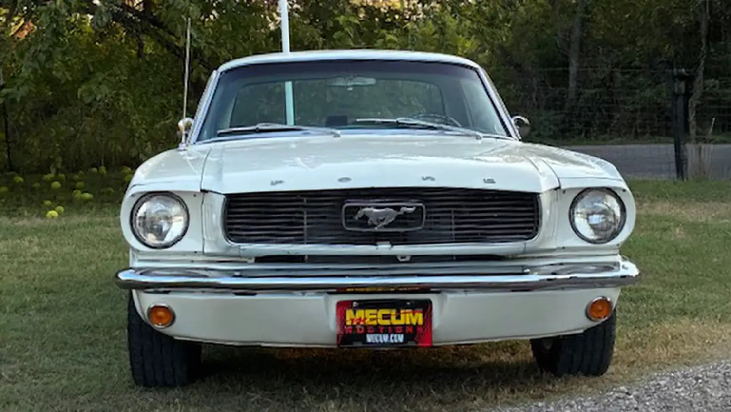 1966 Ford Mustang Coupe