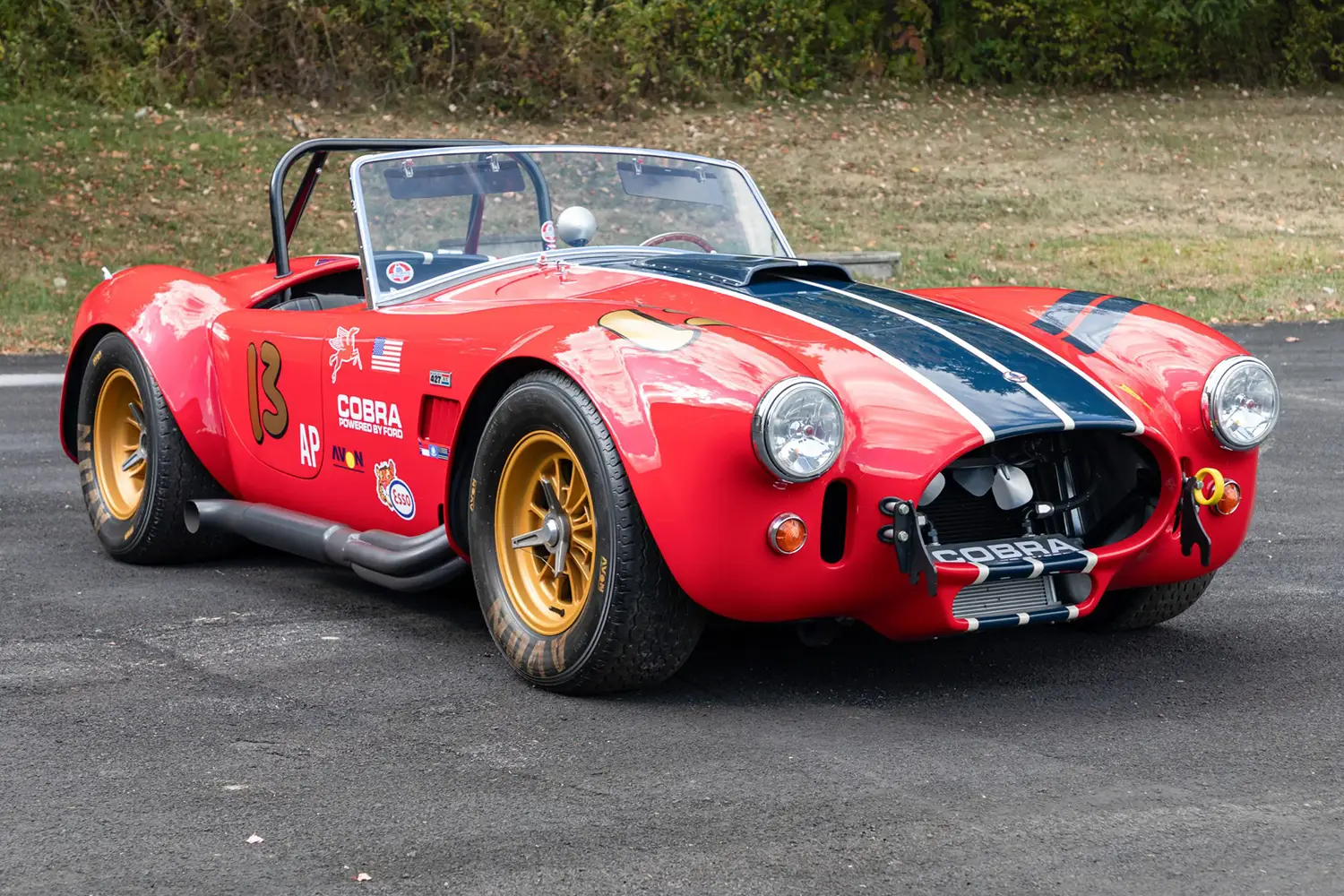 Shelby Cobra CSX6000