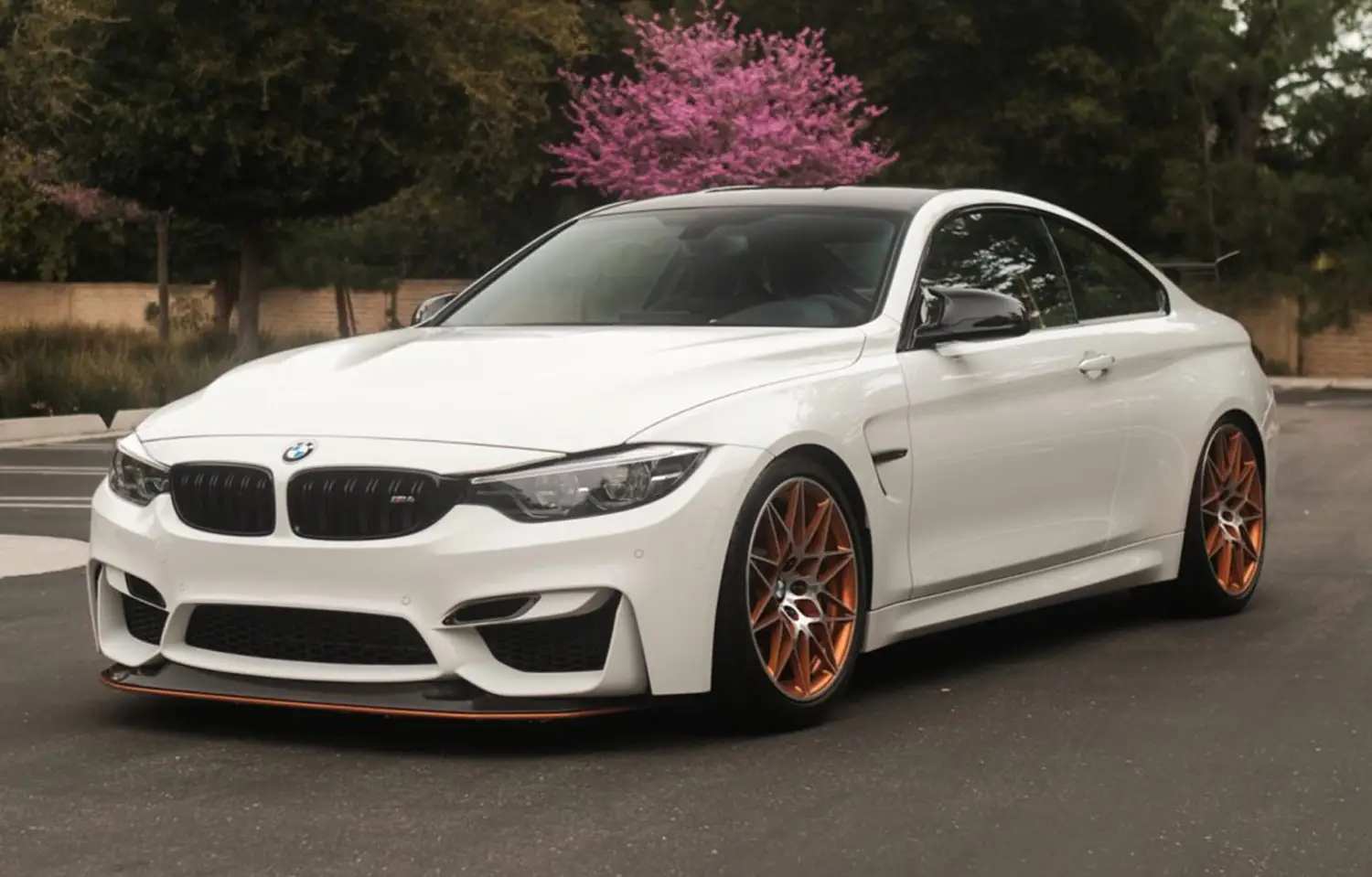 2016 BMW M4 GTS