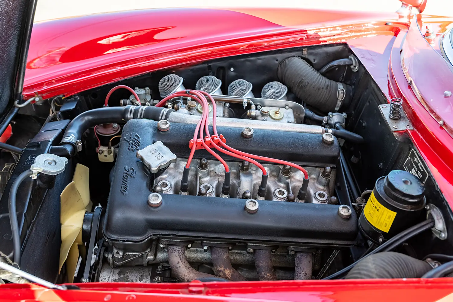 1964 Alfa Romeo Giulia 1600 Sprint Speciale