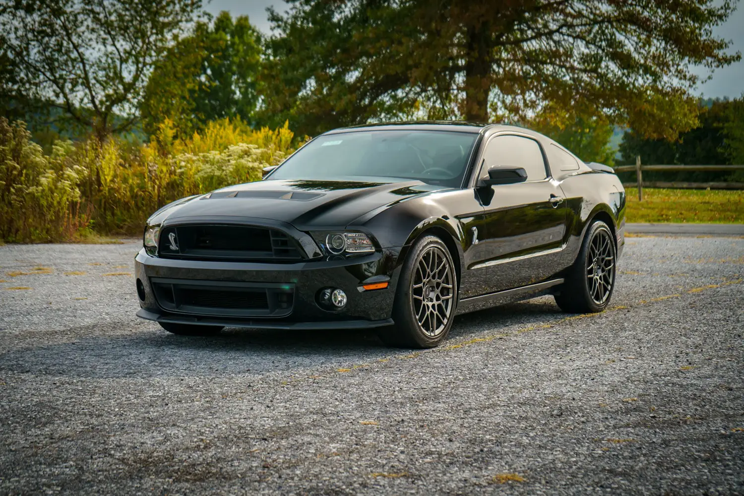 2013 Ford Mustang Shelby GT500 2013 Ford Mustang Shelby GT500