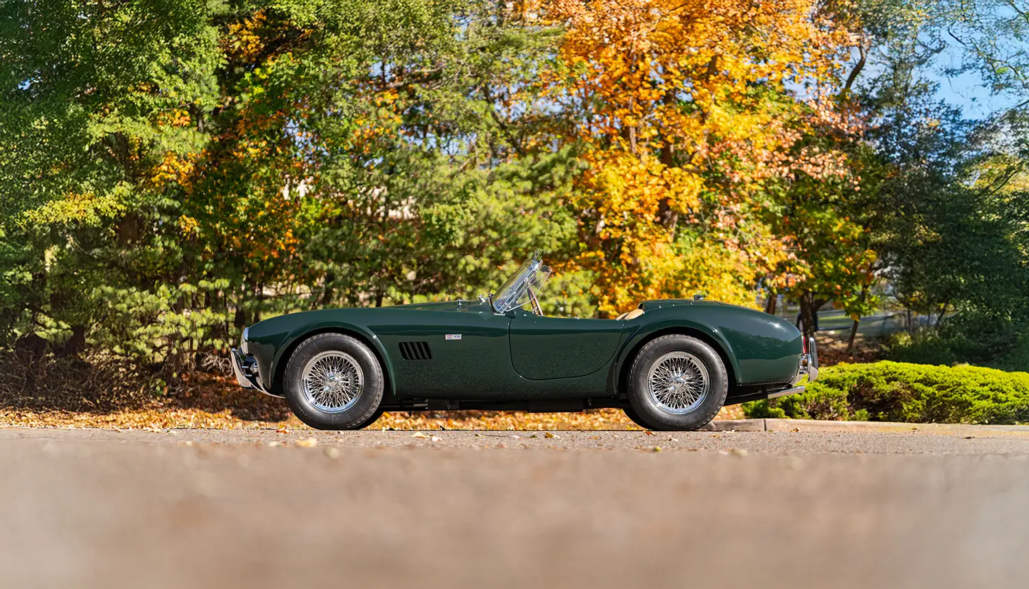 1964 Shelby 289 Cobra