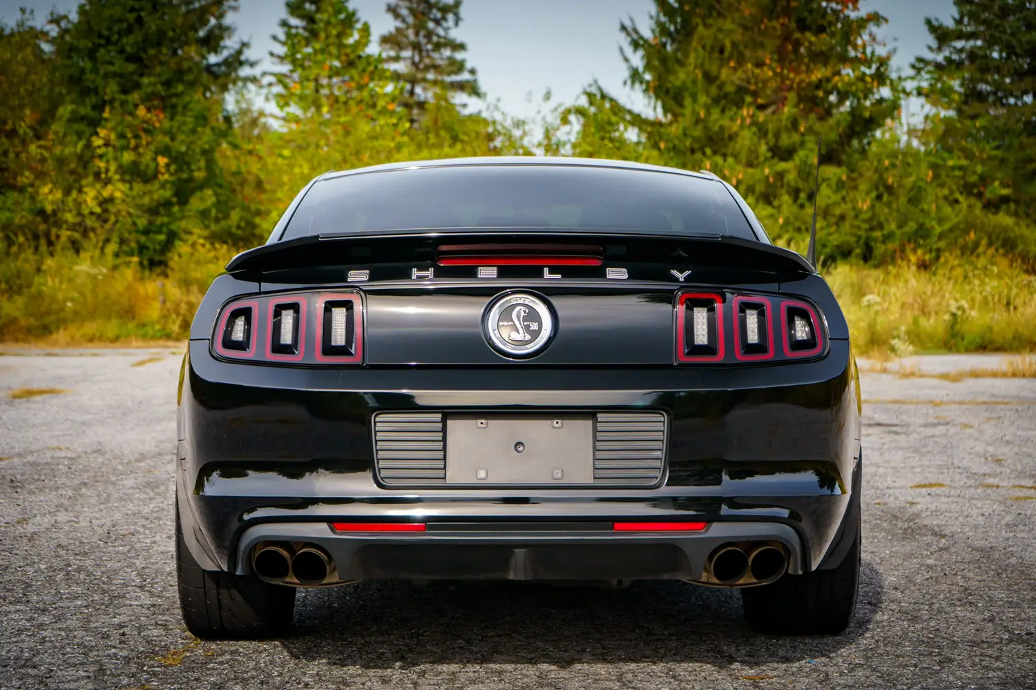 2013 Ford Mustang Shelby GT500 2013 Ford Mustang Shelby GT500