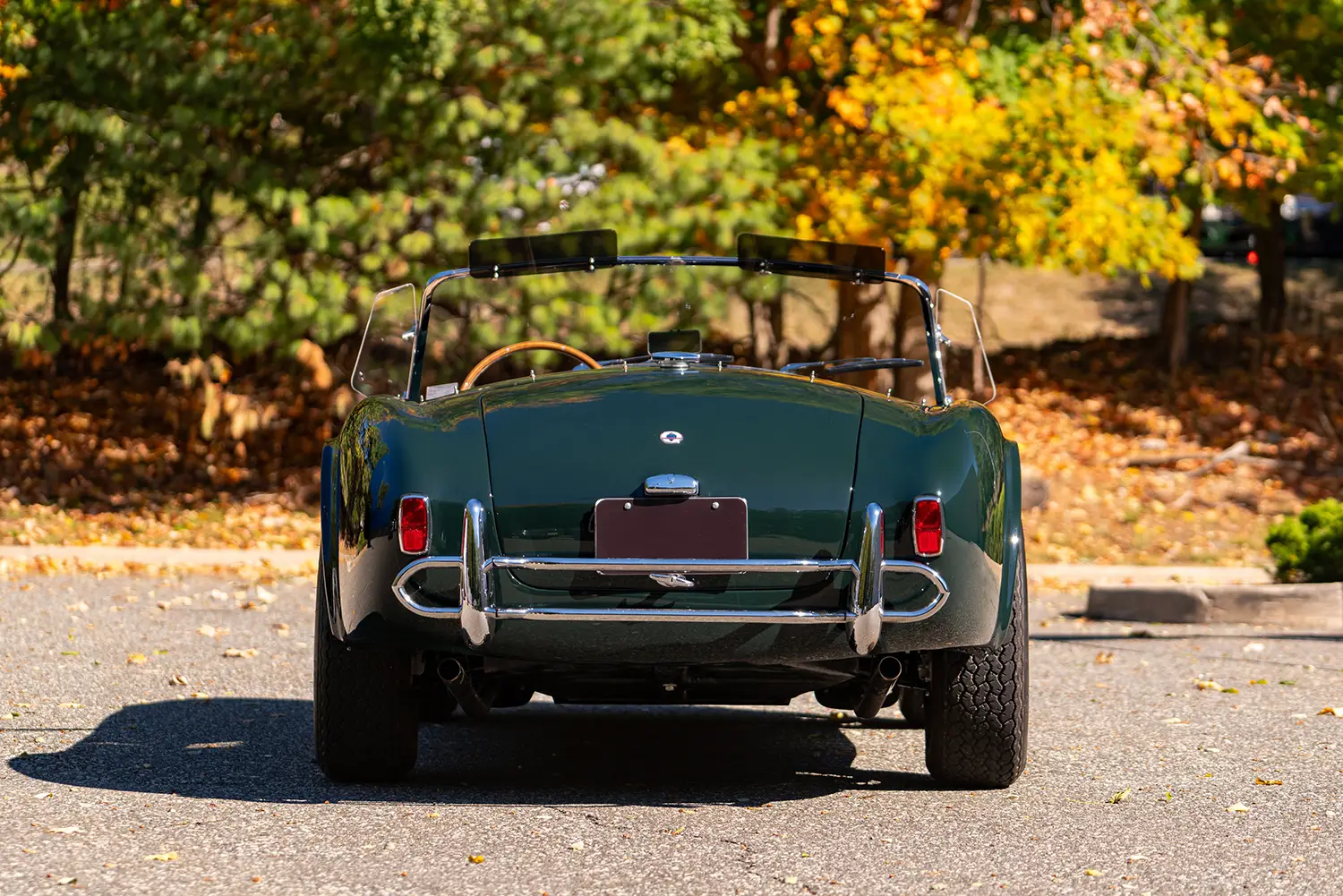 1964 Shelby 289 Cobra