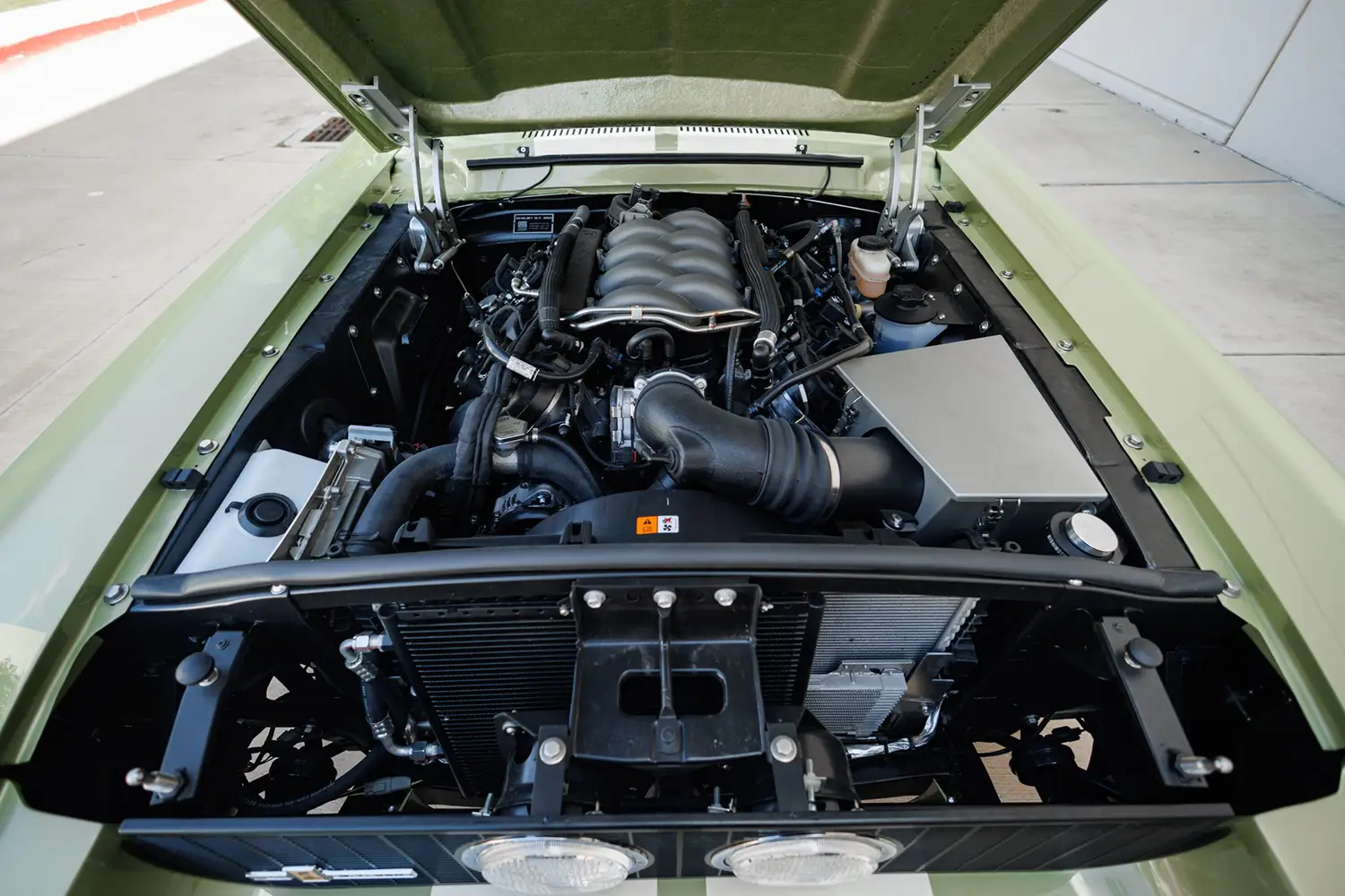 Shelby Mustang GT350 Fastback by Revology