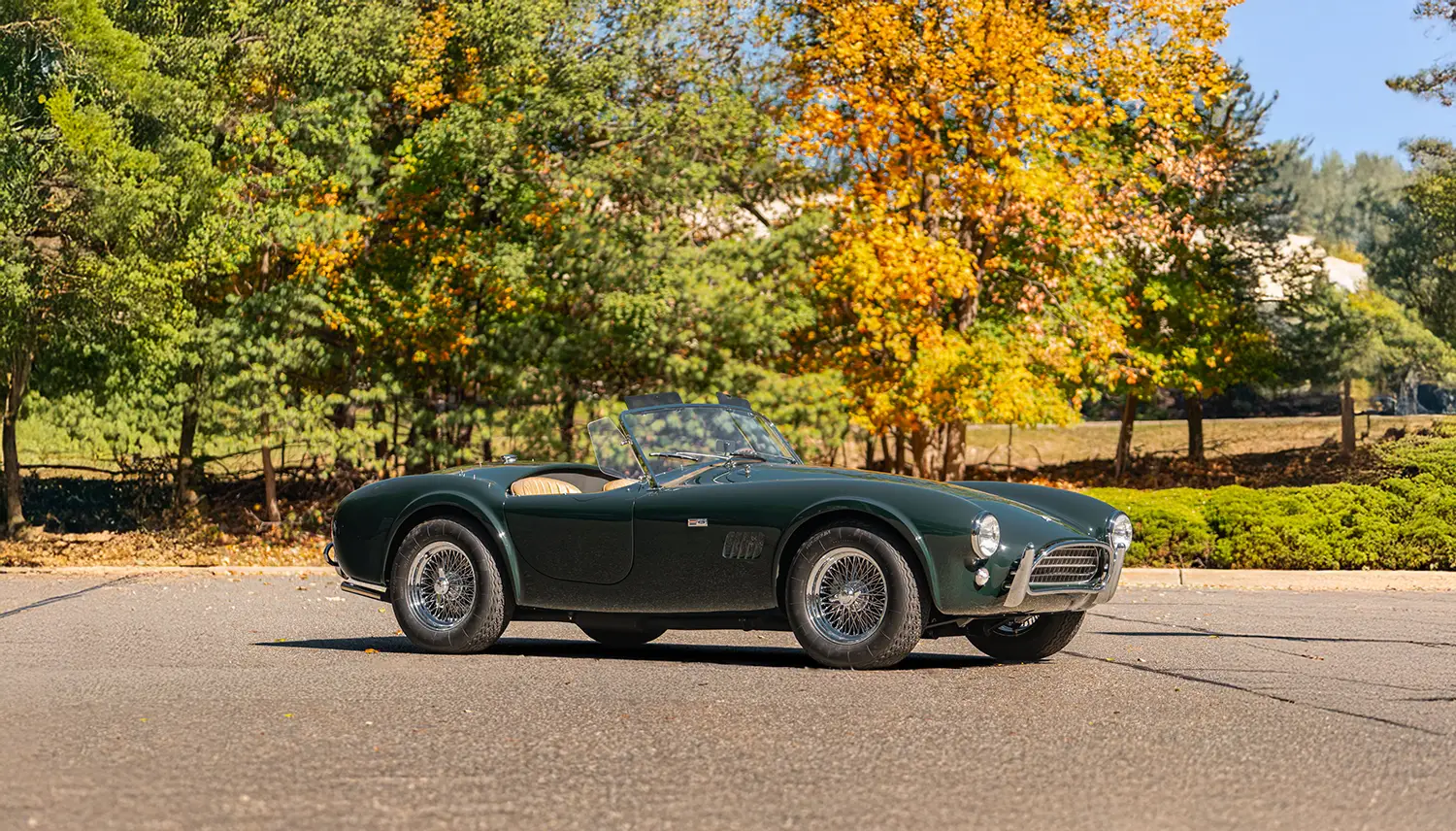 1964 Shelby 289 Cobra