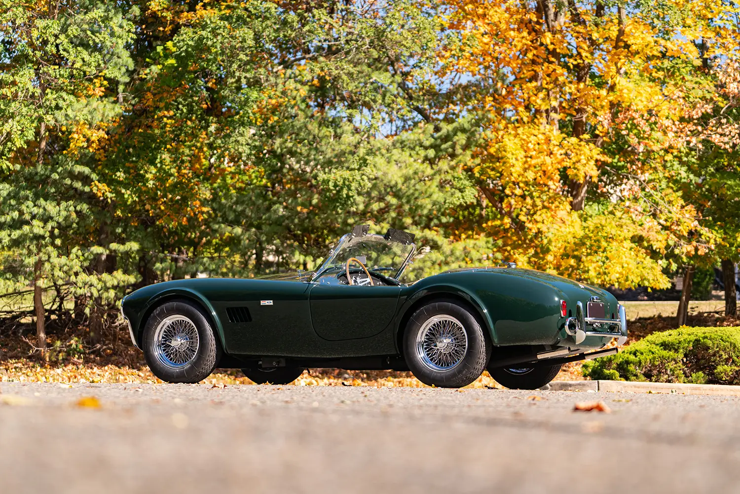 1964 Shelby 289 Cobra