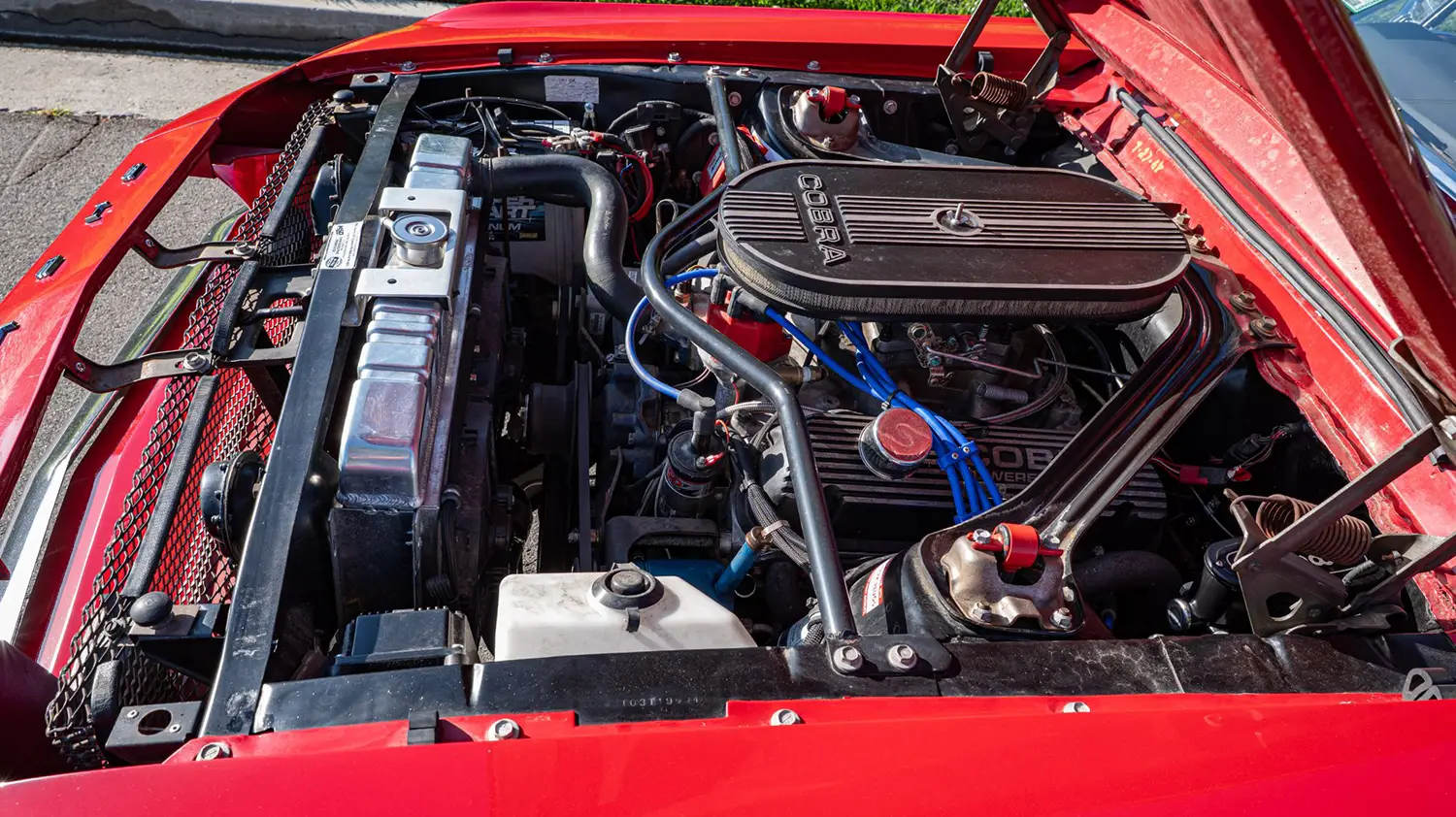 1968 Ford Mustang GT350 Style